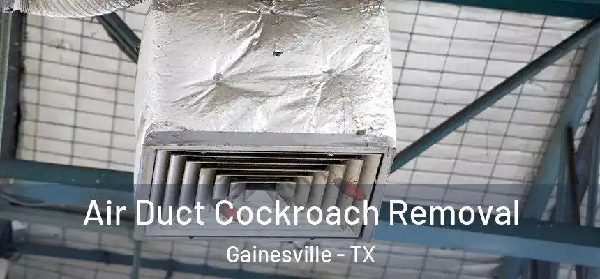  Air Duct Cockroach Removal Gainesville - TX
