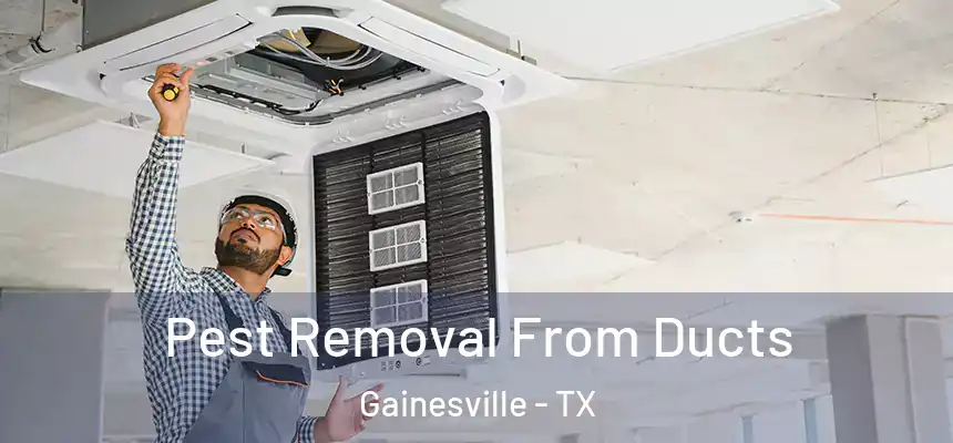 Pest Removal From Ducts Gainesville - TX