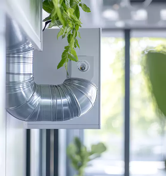 Professional Eco-Friendly Duct Cleaning Services in Gainesville, TX