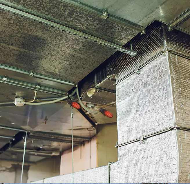 Why Homeowners & Businesses Trust Us in Gainesville, TX?